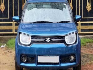 IGNIS DELTA MT 2019
